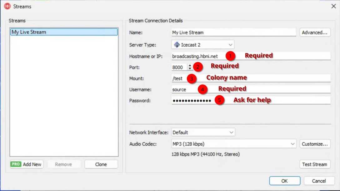 Rocket Broadcaster setup example